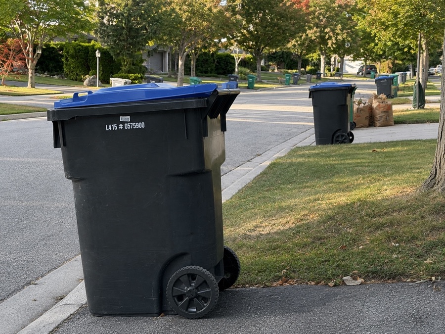 Blue Box recycling carts at residential curbs